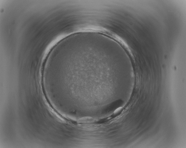 X0000084521480200702231122