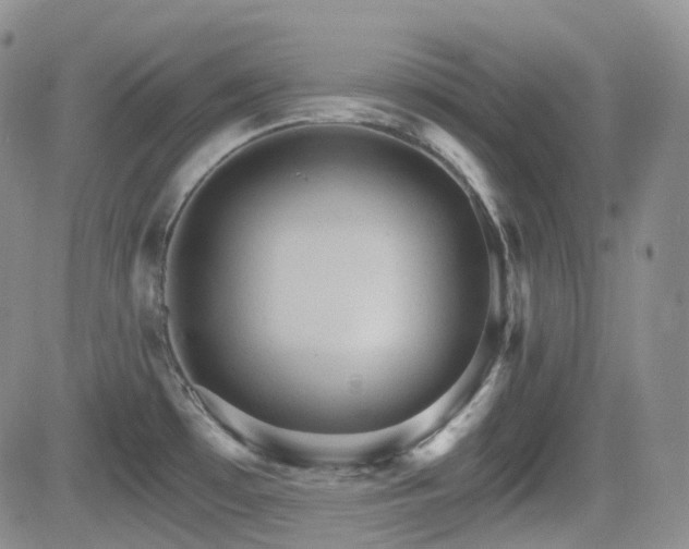 X0000084521481200702231122