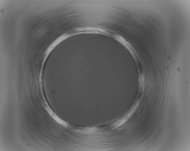 X0000084521482200702231122