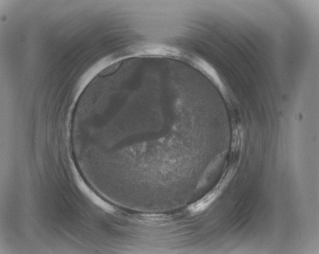 X0000084521483200702231122