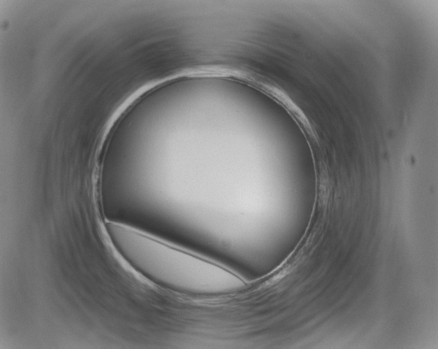 X0000084521484200702231122