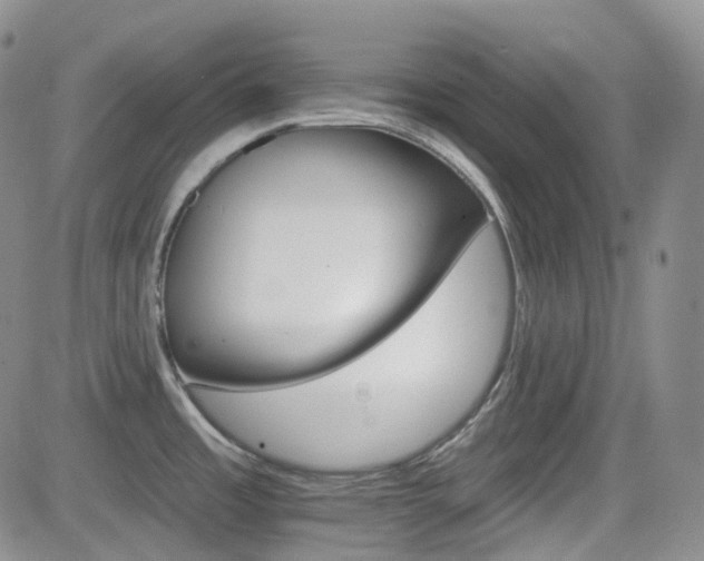 X0000084521485200702231122