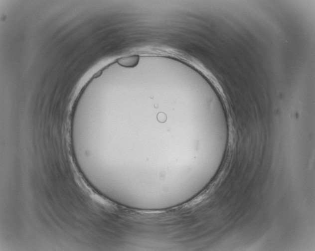 X0000084521486200702231122