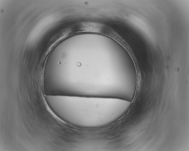 X0000084521487200702231122