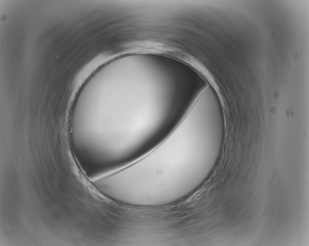 X0000084521488200702231122