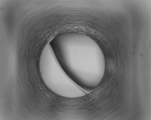 X0000084521489200702231121