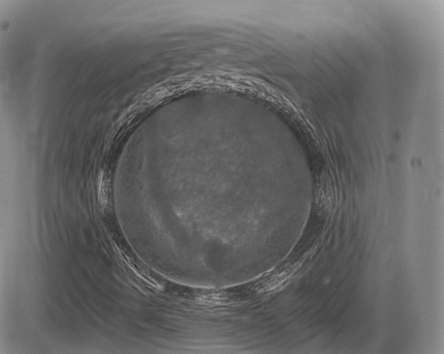 X0000084521490200702231121