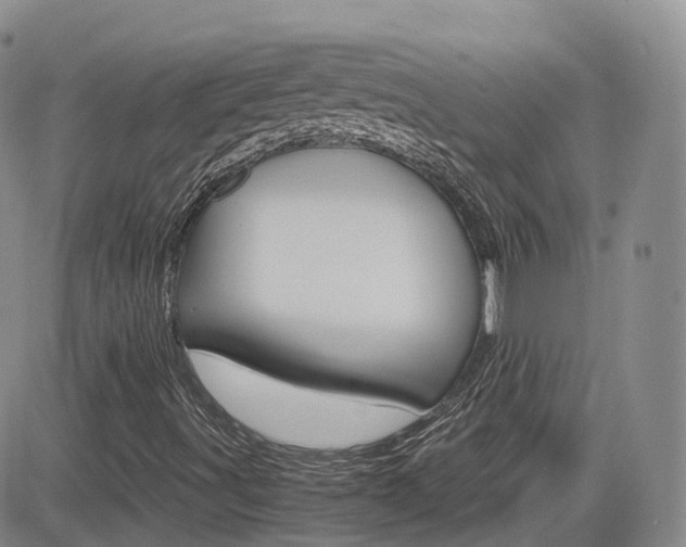 X0000084521491200702231121