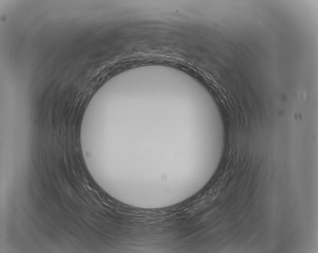 X0000084521492200702231121