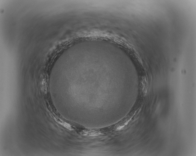 X0000084521493200702231121