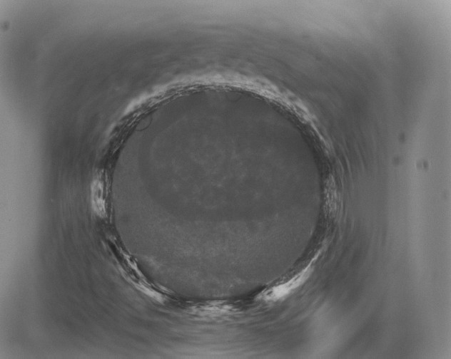 X0000084521494200702231121