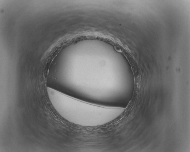 X0000084521495200702231121