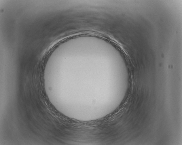 X0000084521496200702231121