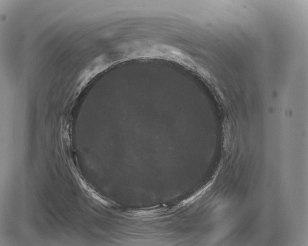 X0000084521497200702231121