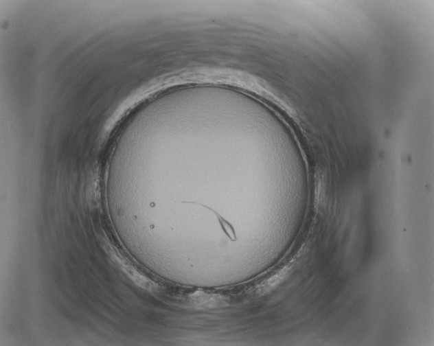 X0000084521498200702231121