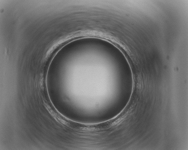 X0000084521499200702231121