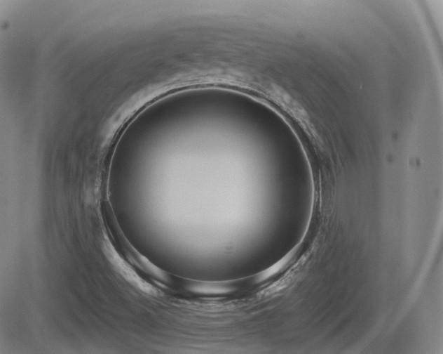 X0000084521500200702231121