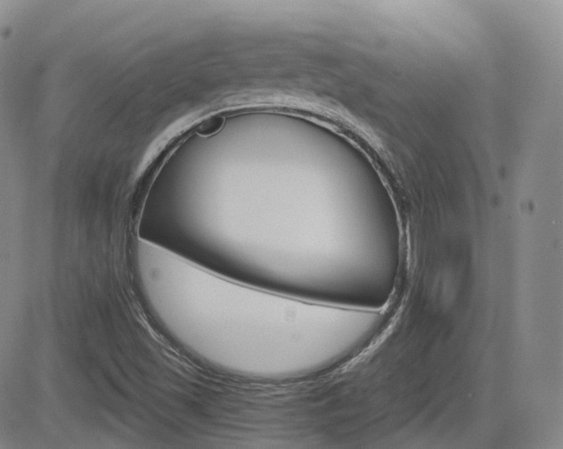 X0000084521501200702231121