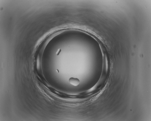 X0000084521502200702231121