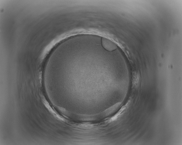 X0000084521503200702231121