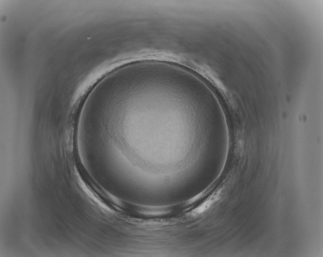 X0000084521504200702231121