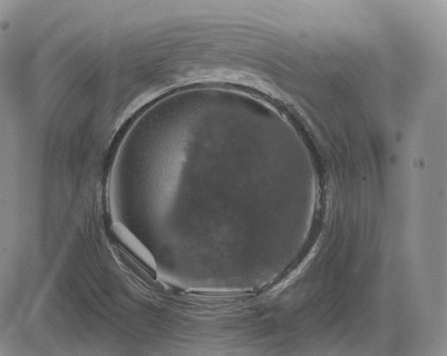 X0000084521505200702231121