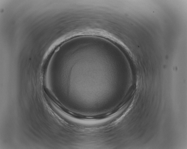 X0000084521506200702231121