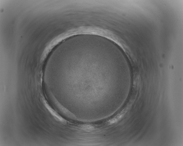 X0000084521507200702231121