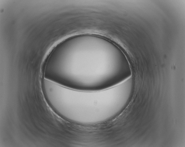 X0000084521508200702231121