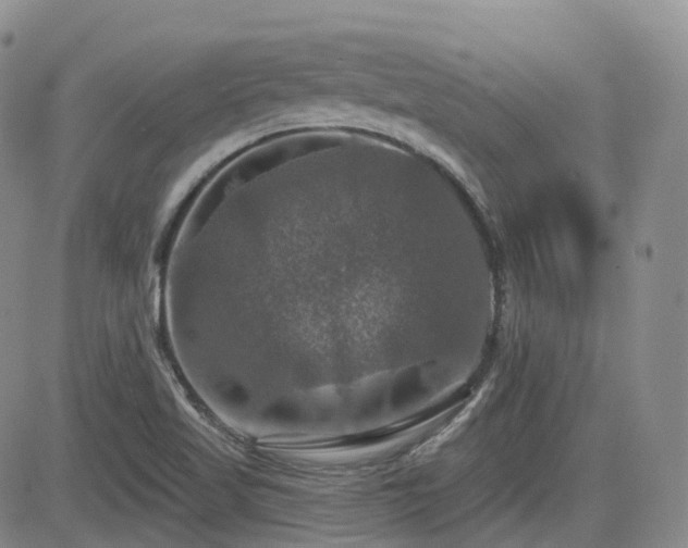 X0000084521509200702231121