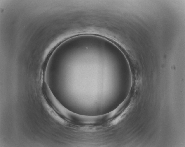 X0000084521510200702231121