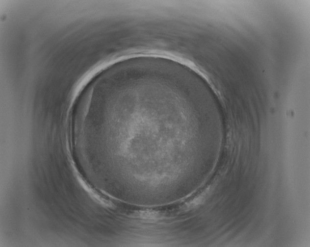 X0000084521511200702231121