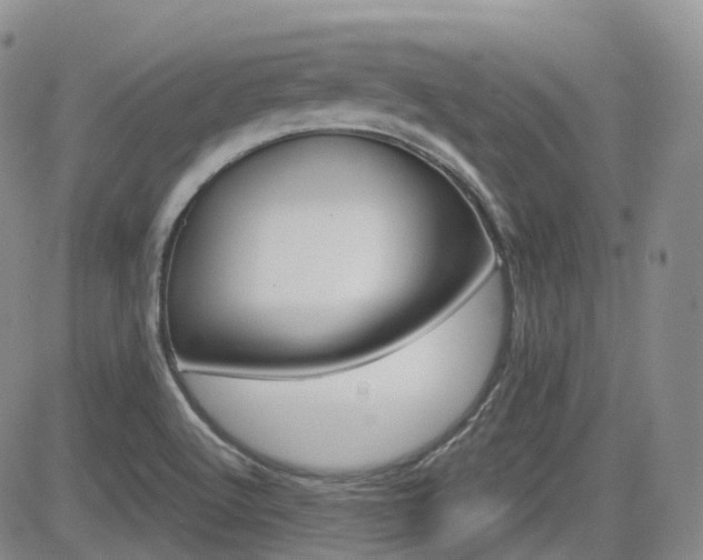 X0000084521512200702231121