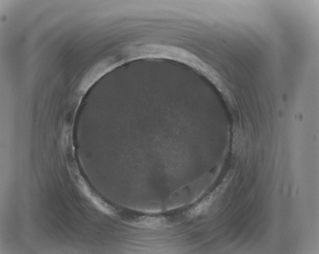 X0000084521513200702231121