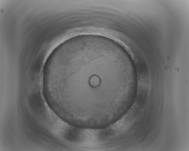 X0000084521514200702231121