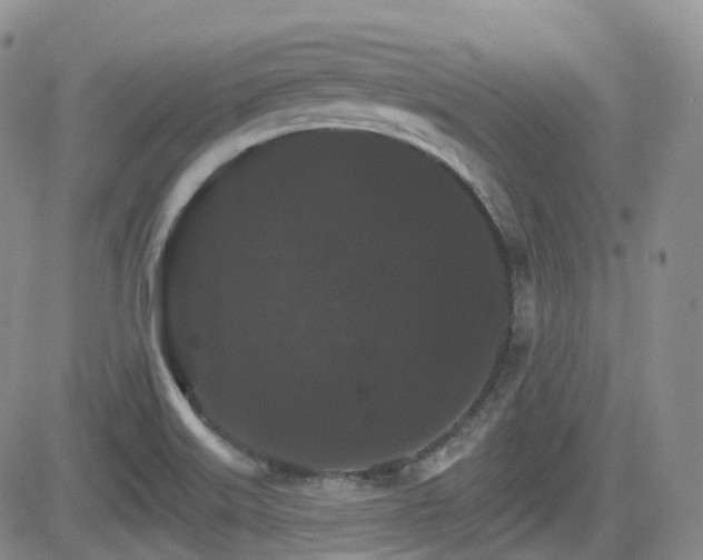 X0000084521515200702231121