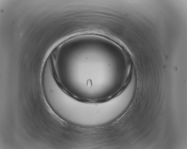 X0000084521516200702231121