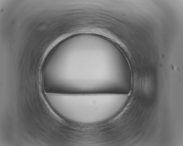 X0000084521517200702231121