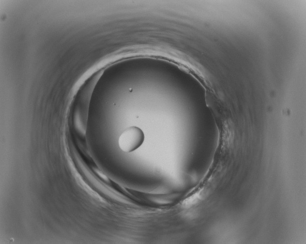 X0000084521518200702231121