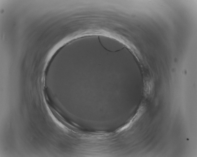 X0000084521519200702231121