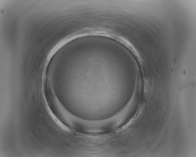 X0000084521520200702231121