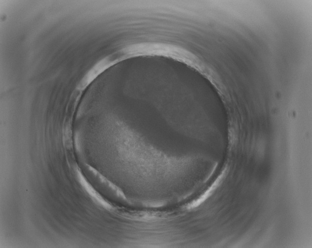 X0000084521521200702231121