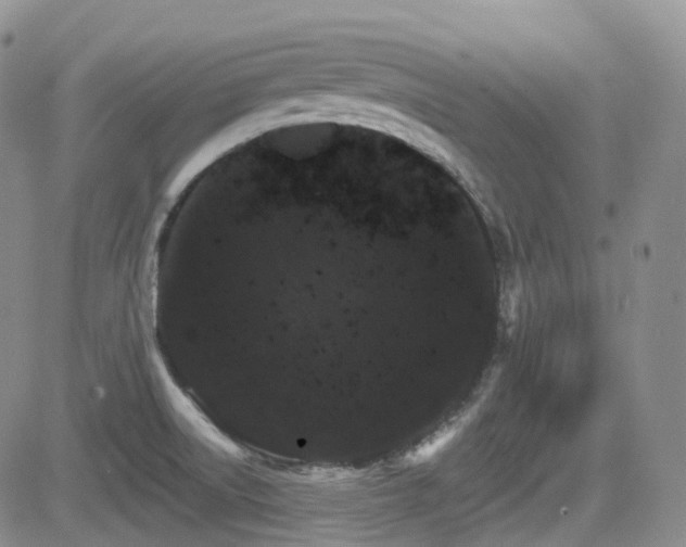 X0000084521522200702231121