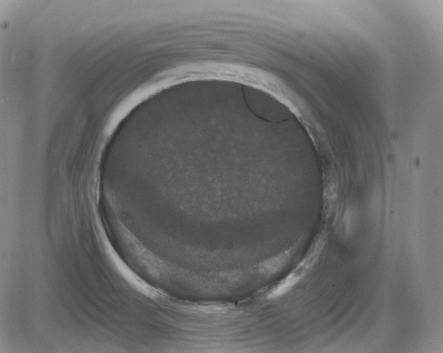 X0000084521523200702231121