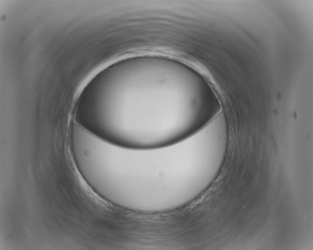 X0000084521524200702231121