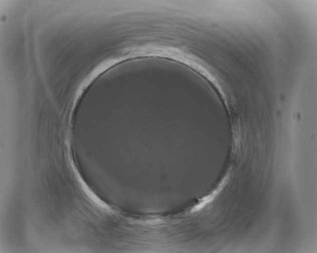 X0000084521525200702231121