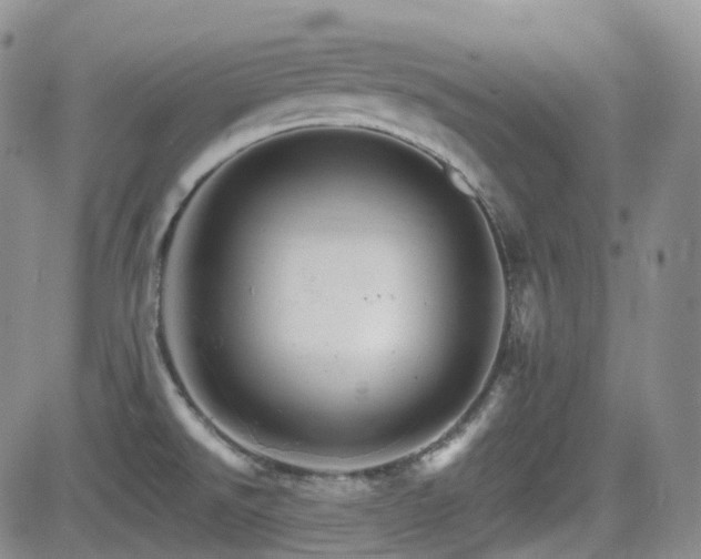 X0000084521526200702231121