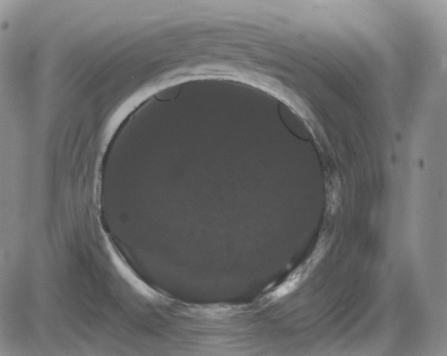 X0000084521527200702231121