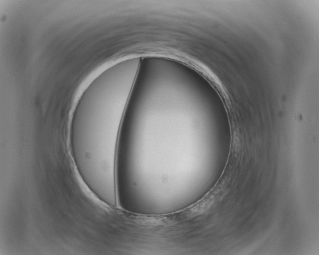 X0000084521528200702231121