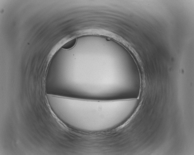 X0000084521529200702231121